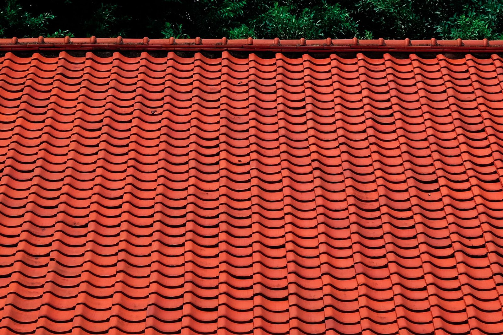 pexels hngstrm 5401232